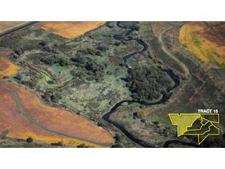 Property photo 51 - 1,153 +/- Acres offered in 15 TractsLAND AUCTION